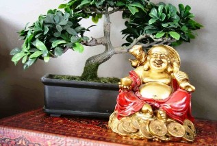 The happiness and well-being in the home, feng shui