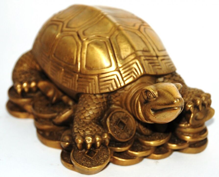 save the turtle wealth and good luck