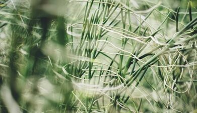 How to make good luck with your own hands