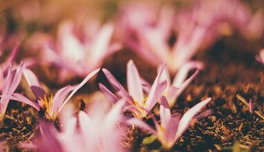 how to make good luck with your own hands