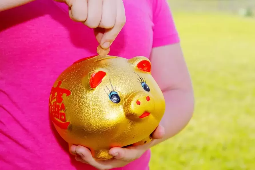 good luck charm - pig