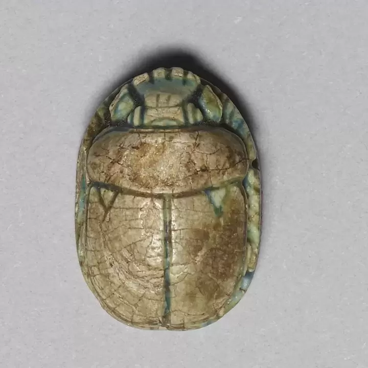 good luck charm - scarab