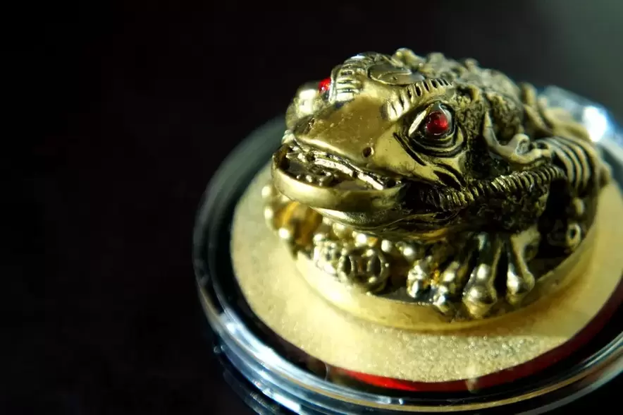 good luck charm - three-legged frog